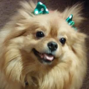 Meet your Posher, Trudy